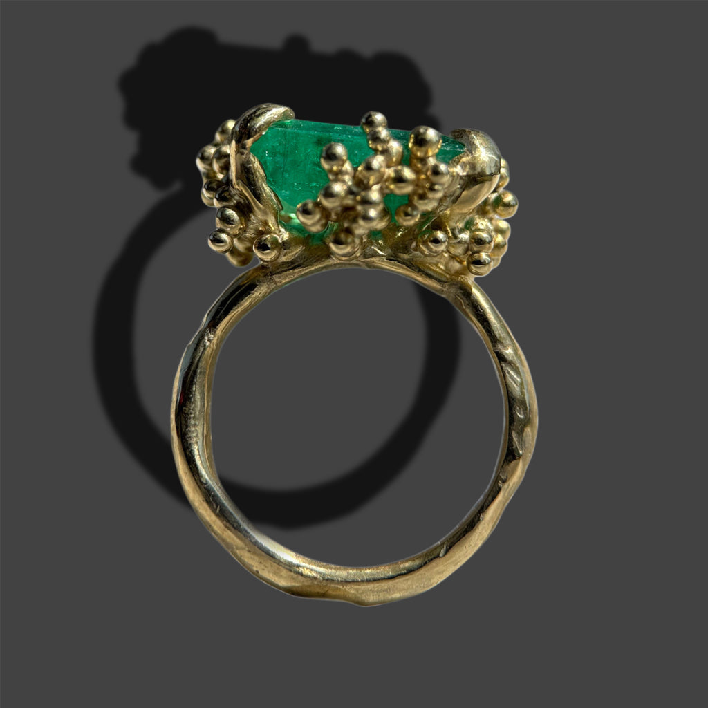 EMPRESS no.S001