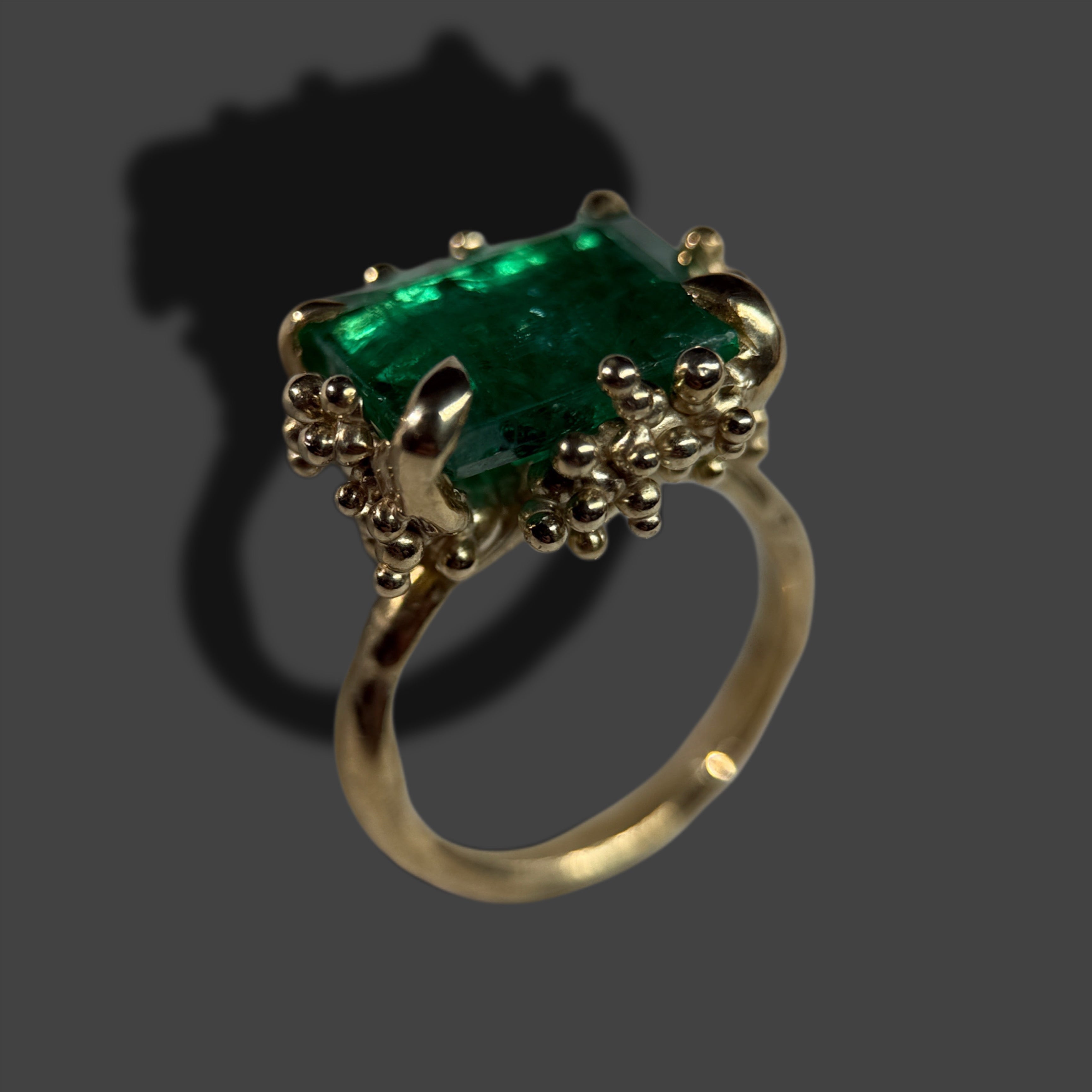 EMPRESS no.S001