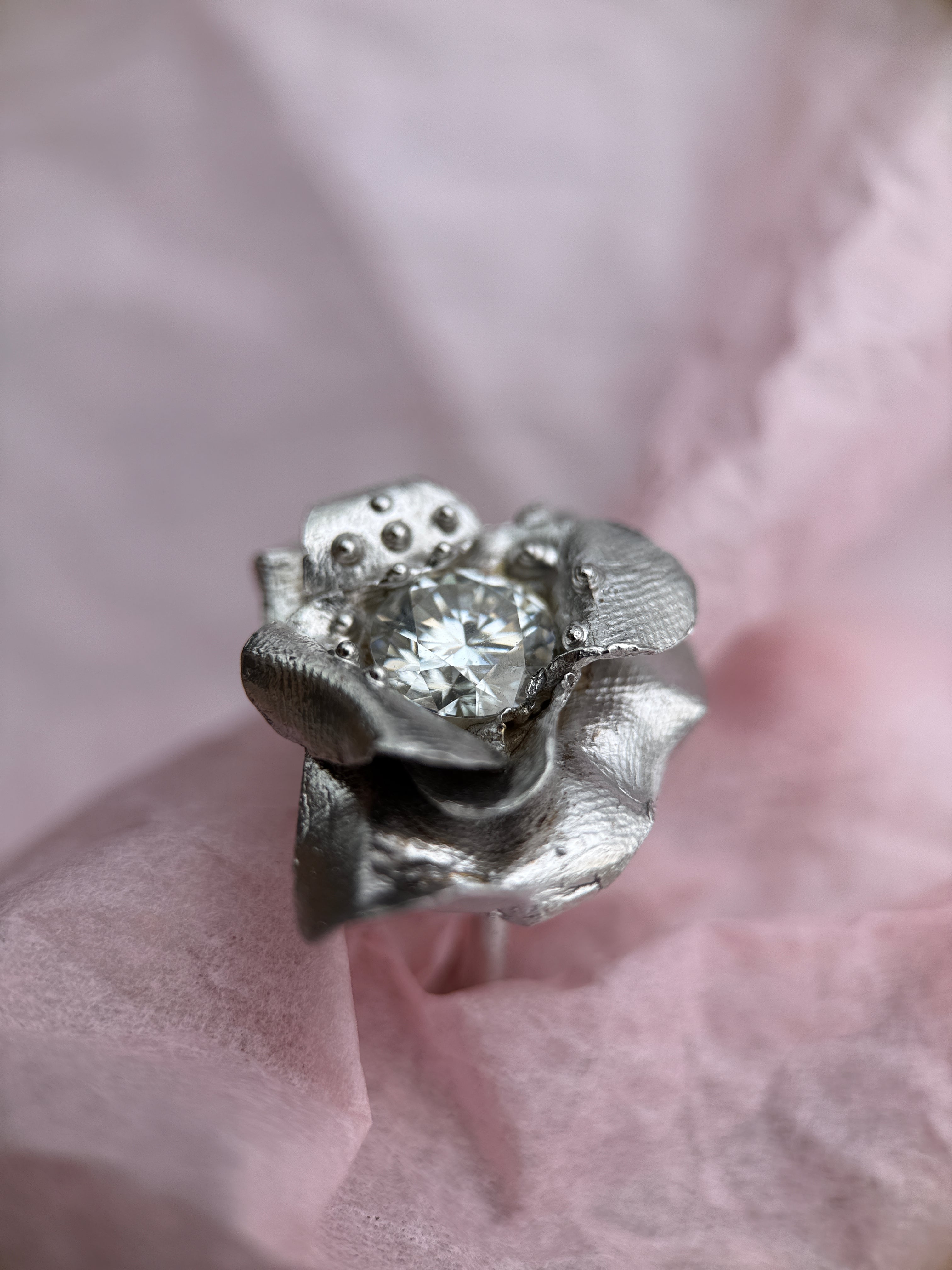 BLOOM no.010